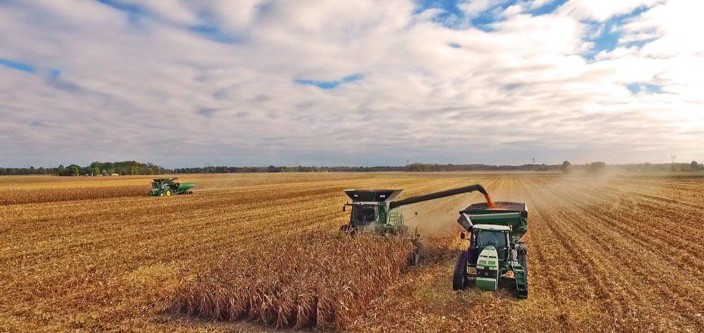 Basic Grain growers in the field