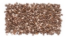Black Chia Seeds