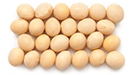 High-Protein Soybeans